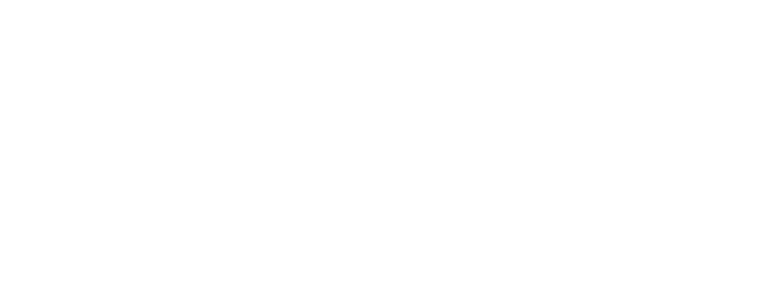 Web Digital